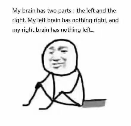 my brain has two parts