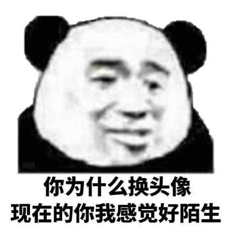 你为什么换头像现在的你我感觉好陌生