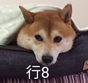 行8