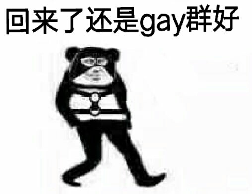 回来了，还是gay群好