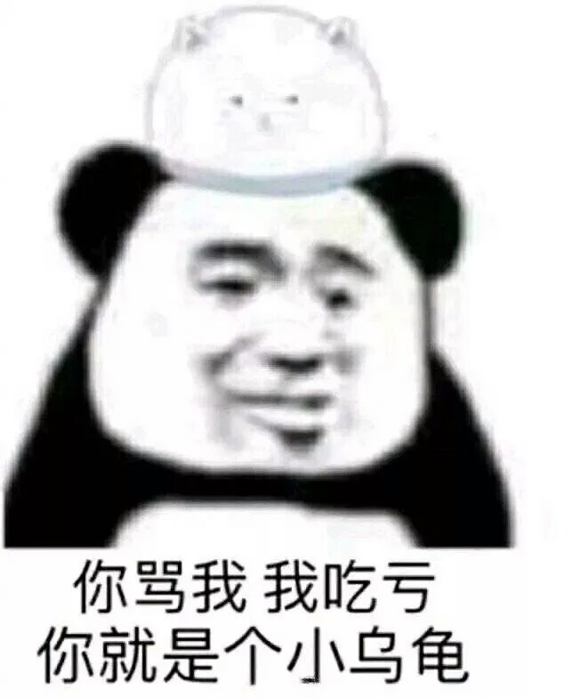 你骂我我吃亏你就是个小乌龟