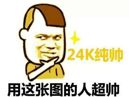 24K纯帅，用这张图的人超帅