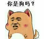 你是狗吗？