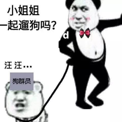 小姐姐起遛狗吗？汪汪，狗群员