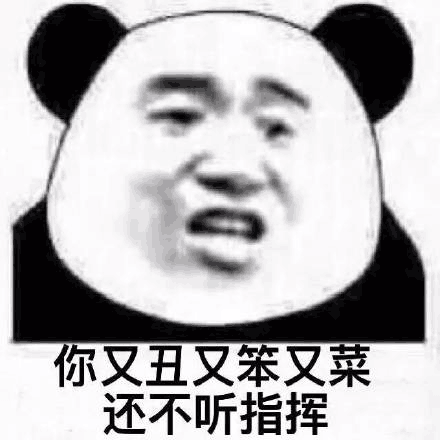 你又丑又笨又菜还不听指挥