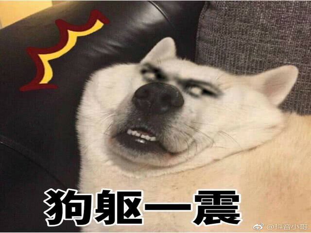 狗躯一震