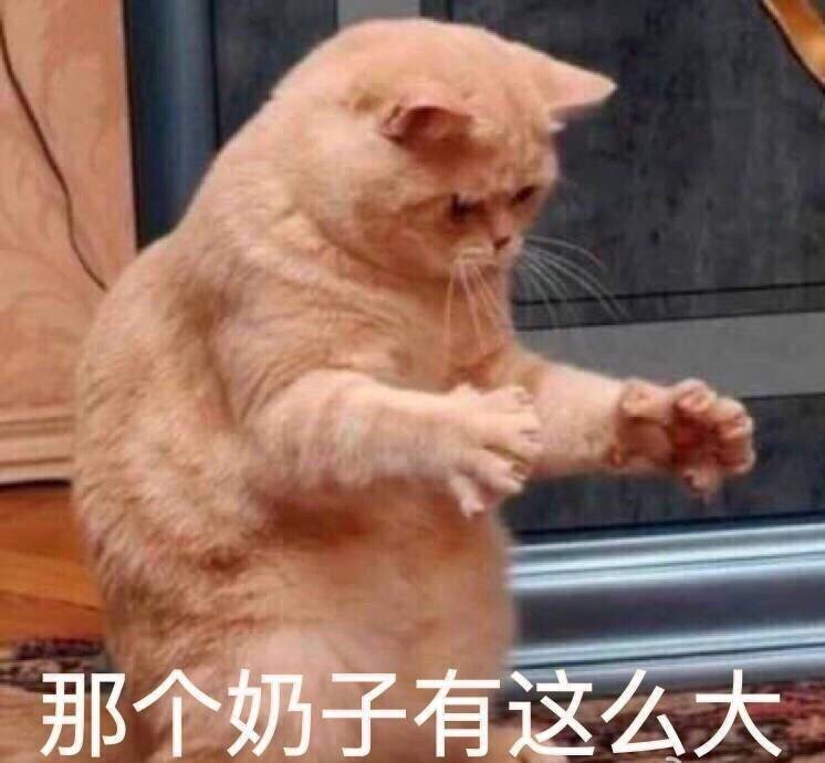 那个奶子有这么大