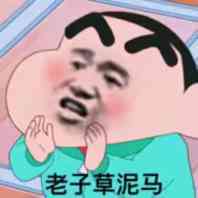 老子草泥马