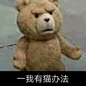 我有猫办法