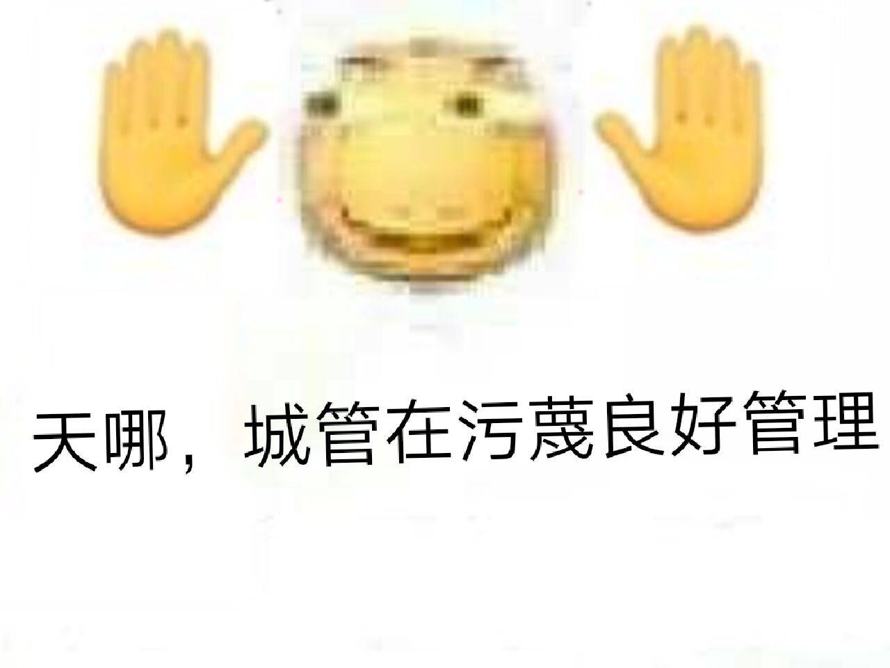 天哪，城管在污蔑良好管理