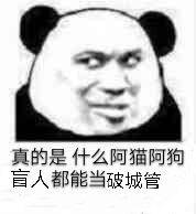 真的是什么阿猫阿狗盲人都能当破城管