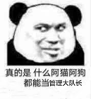 真的是什么阿猫阿狗都能当管理大队长