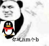 你玩nm个b