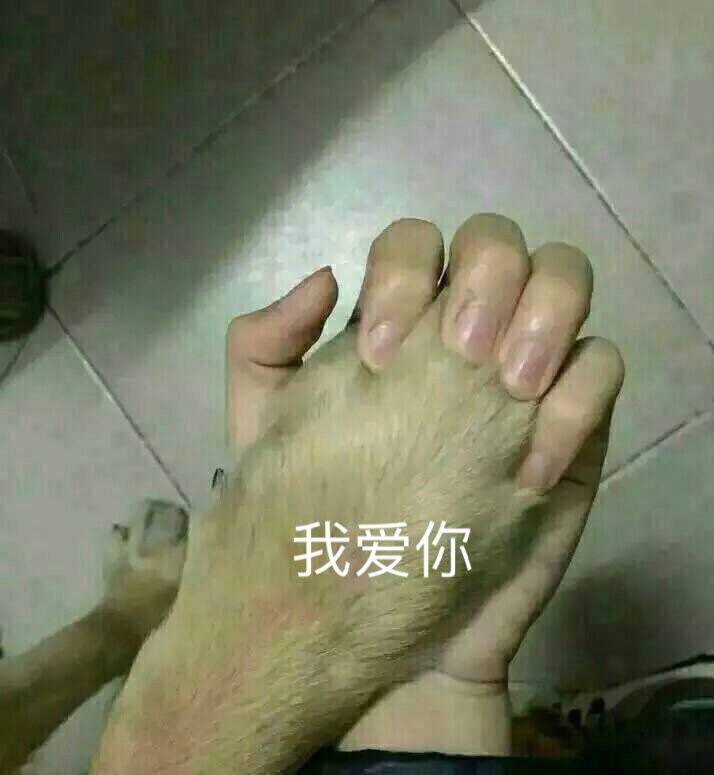 我爱你