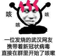咳，一位发烧的武汉网友，携带着新冠状病毒直接在群里开始了咳嗽