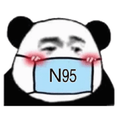 N95