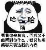 哈哈哈哈