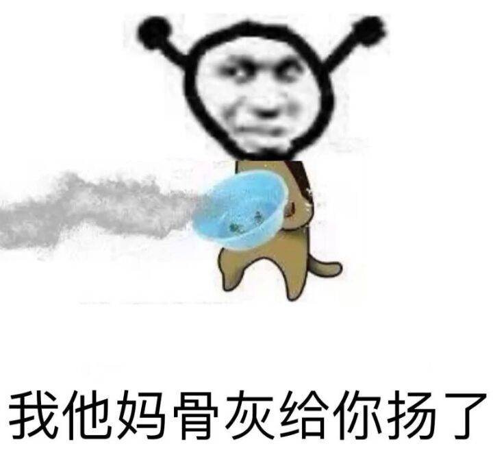 我他妈骨灰给你扬了