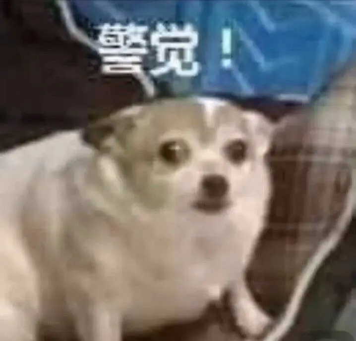 警觉了