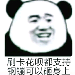 刷卡花呗都支持，钢镚可以砸身上