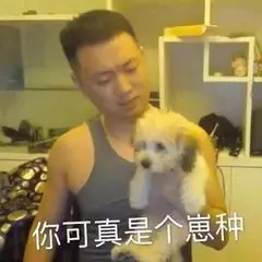 你可真是个崽种