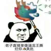 老子直接拿傻逼龙王撕烂你昊批