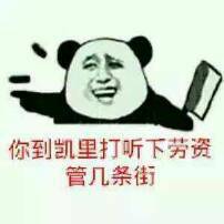你到凯里打听下劳资管几条街