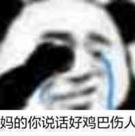 妈的你说话好鸡巴伤人