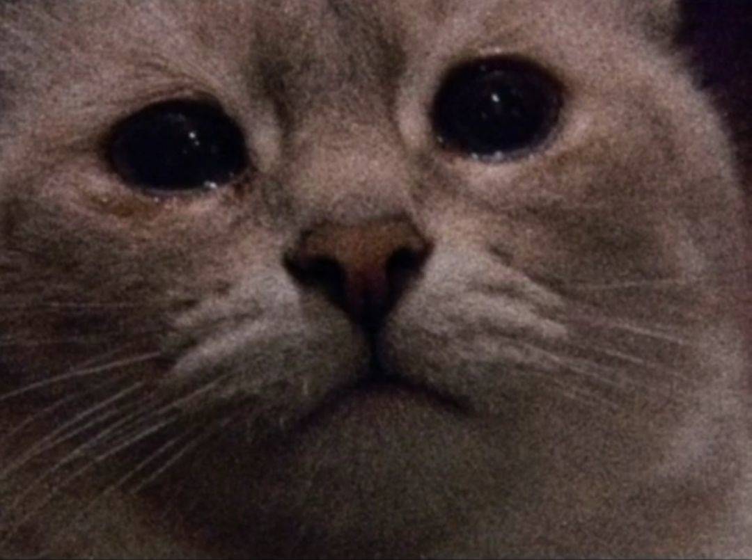 我哭了