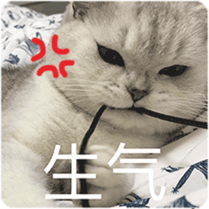 生气了