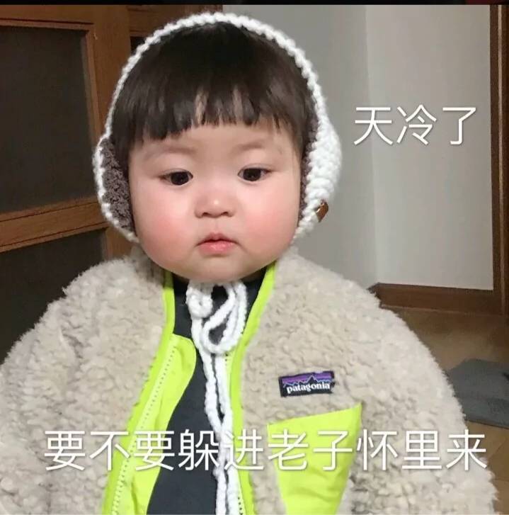 天冷了，要不学躲进老子怀里来
