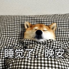 睡觉了，晚安