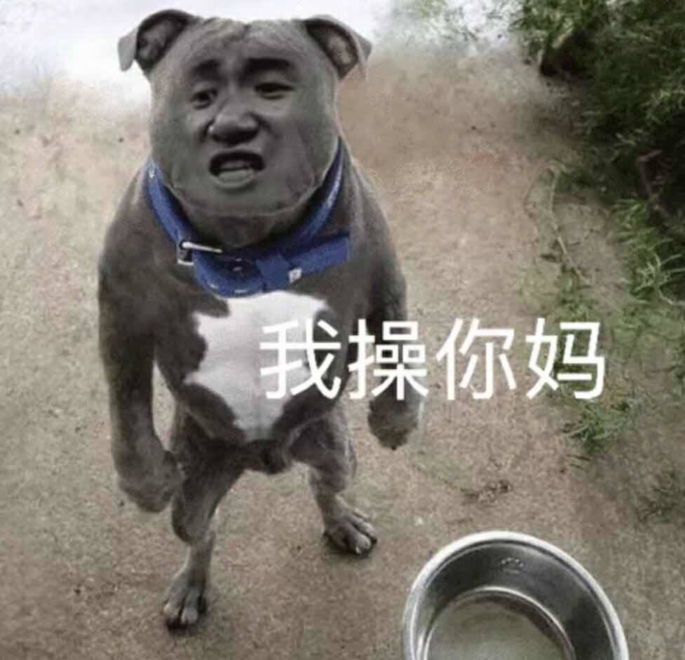 我操你妈