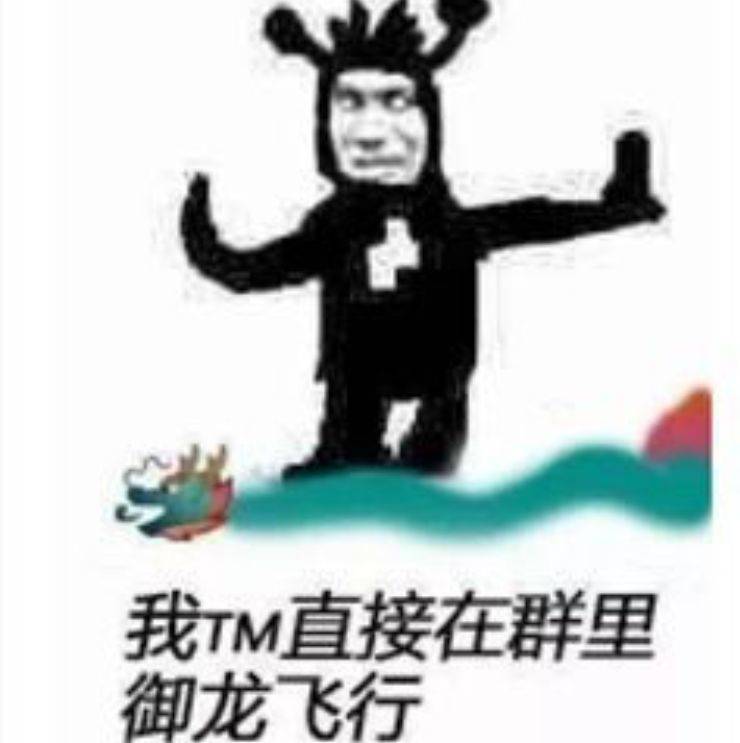 我TM直接在群里御龙飞行