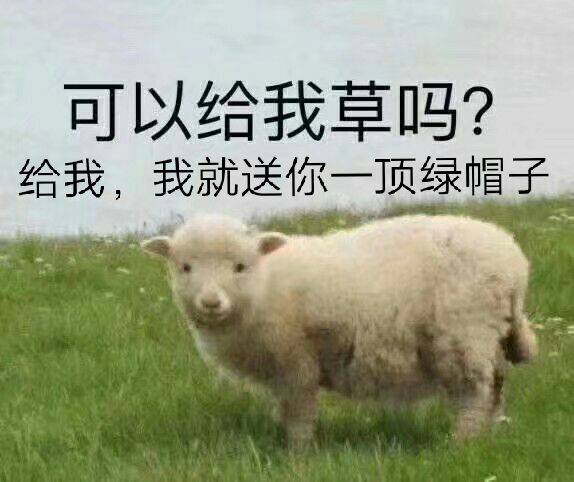 可以给我草吗？给我，我就送你一顶绿帽子