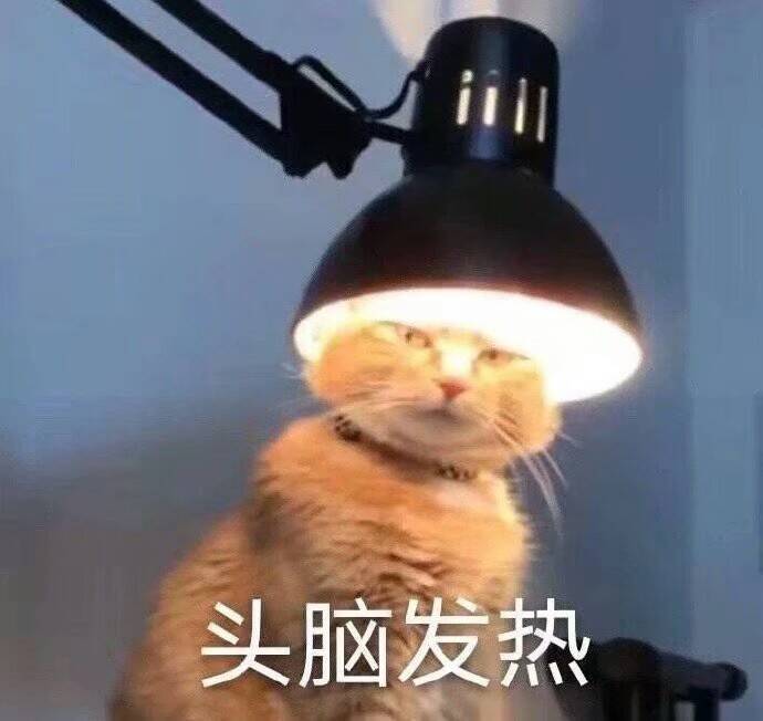 头脑发热