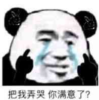 把我弄哭你满意了？