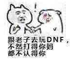 跟老子去玩DNF，不然打得你妈都不认得你