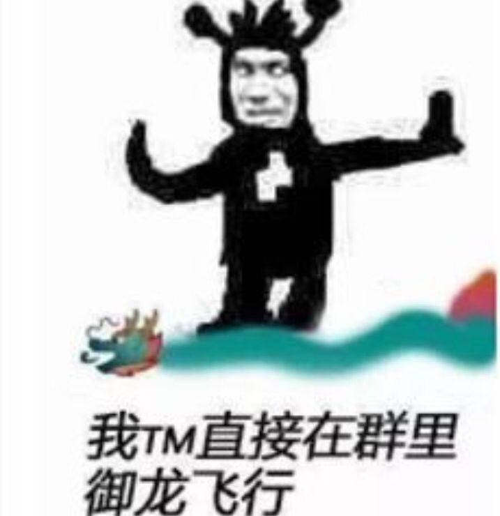 我TM直接在群里御龙飞行