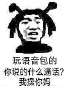 玩语音包的你说的什么逼话？我操你妈