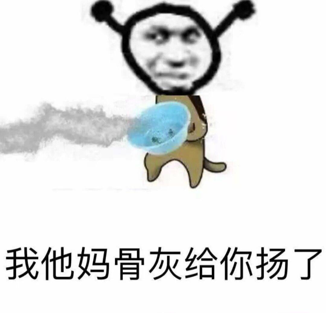 我他妈骨灰给你扬了