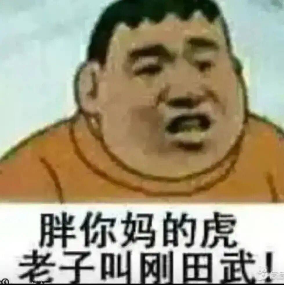 胖你妈的虎，老子叫刚田武！