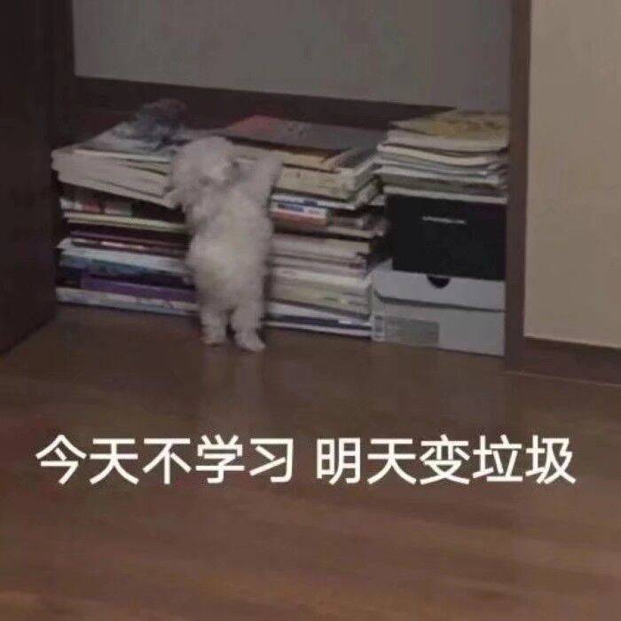 今天不学习，明天变垃圾