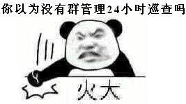 你以为没有群管理24小时巡查吗？（火大）