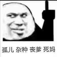 孤儿杂种丧爹死妈