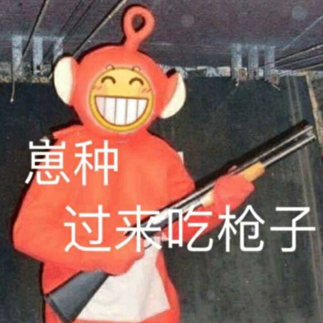 崽种，过来吃枪子