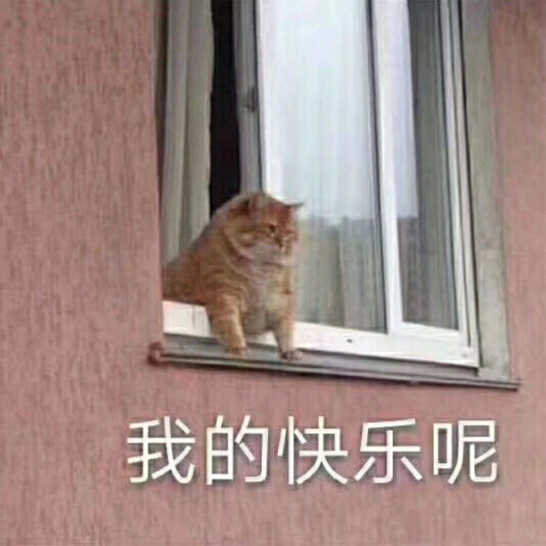 我的快乐呢