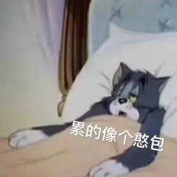 累的像个憨包