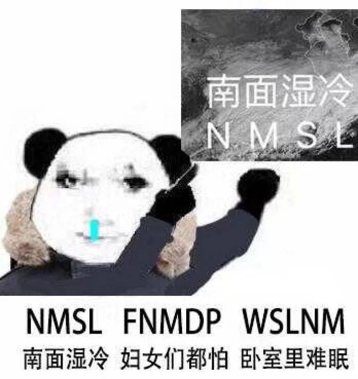 NMSL（南面湿冷）