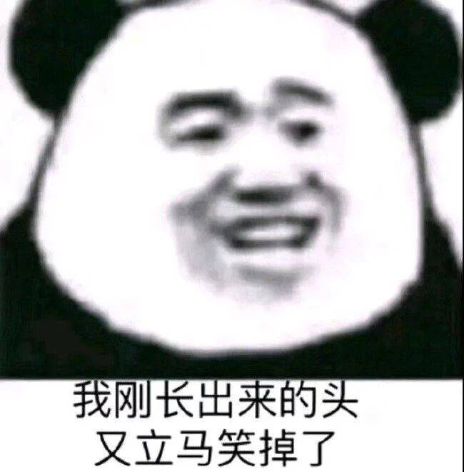 我刚长出来的头，又立马笑掉了